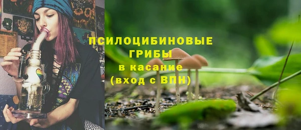 гашиш Богданович